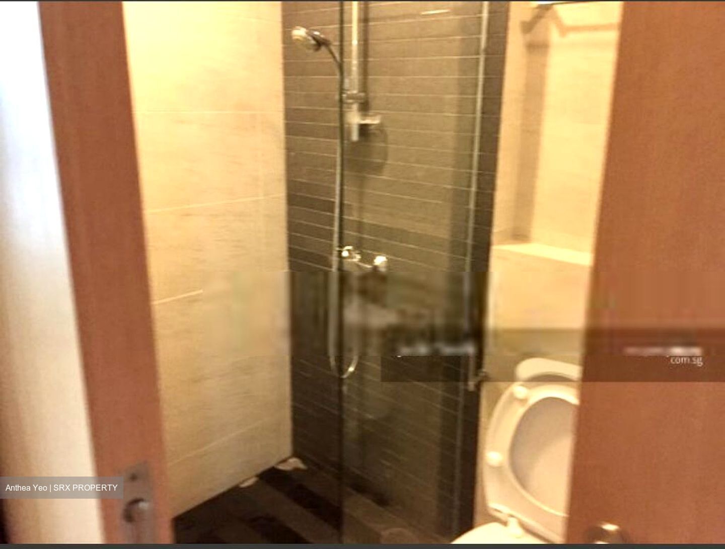 Park Infinia At Wee Nam (D11), Condominium #575342191
